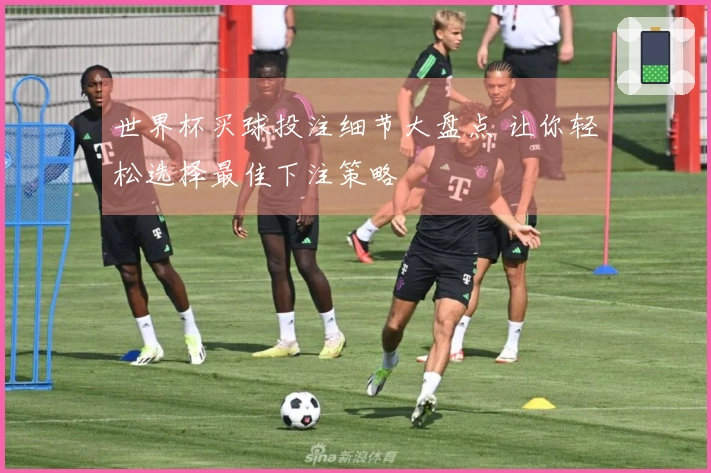世界杯买球投注细节大盘点 让你轻松选择最佳下注策略
