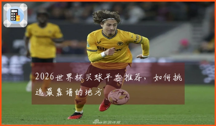 2026世界杯买球平台推荐，如何挑选最靠谱的地方