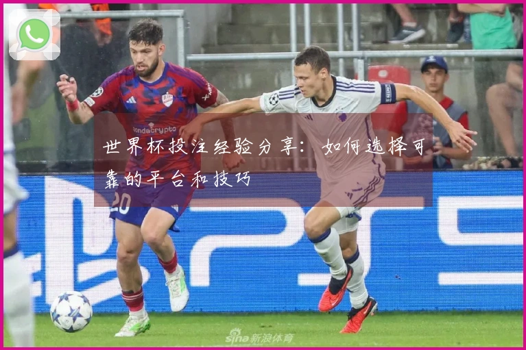 世界杯投注经验分享：如何选择可靠的平台和技巧
