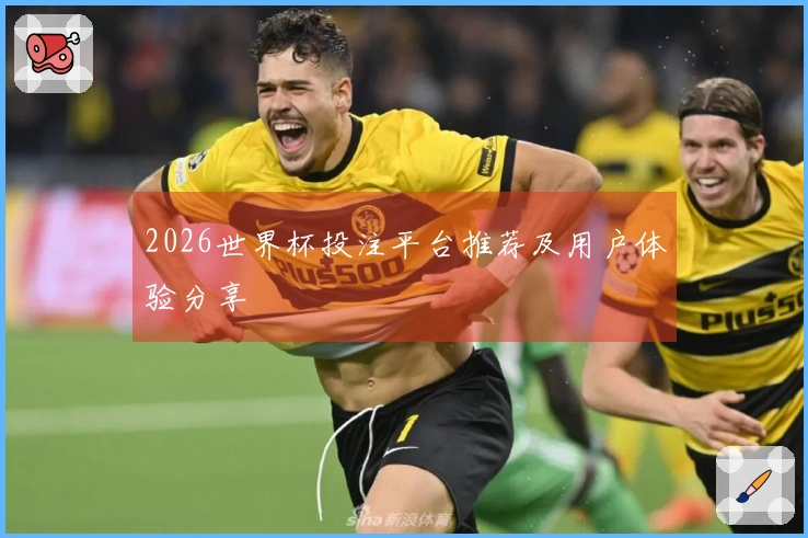 2026世界杯投注平台推荐及用户体验分享
