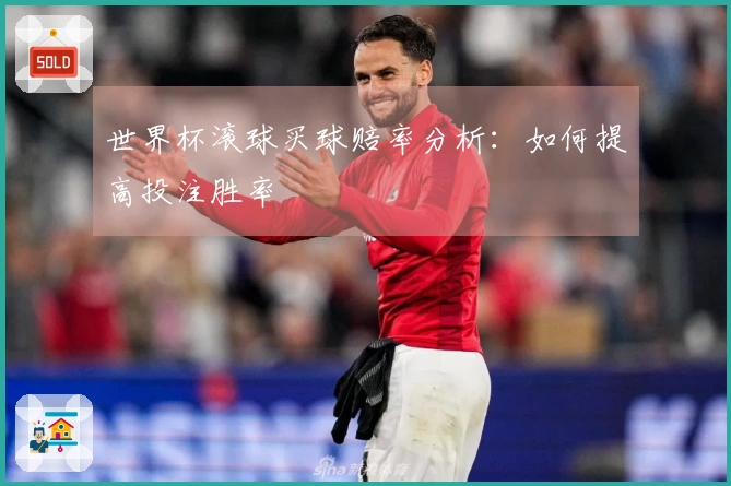世界杯滚球买球赔率分析：如何提高投注胜率