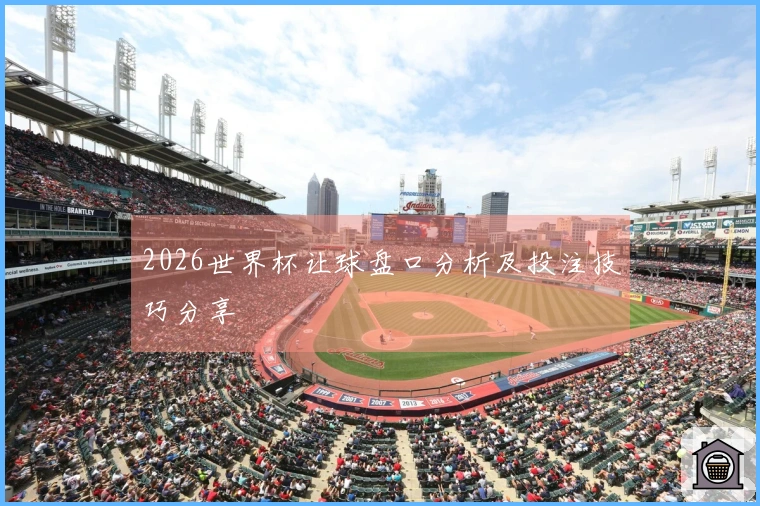 2026世界杯让球盘口分析及投注技巧分享