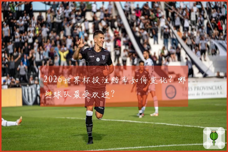 2026世界杯投注赔率如何变化？哪些球队最受欢迎？