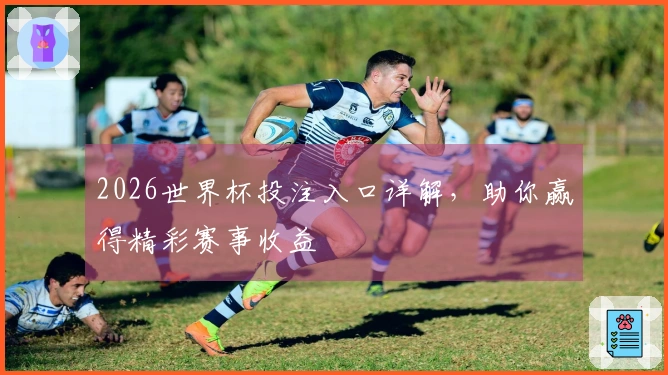 2026世界杯投注入口详解，助你赢得精彩赛事收益