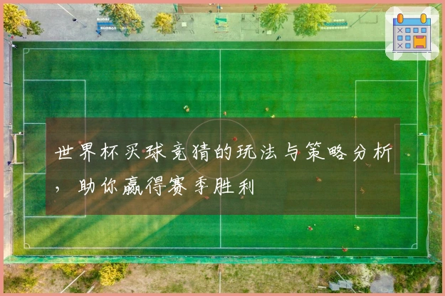 世界杯买球竞猜的玩法与策略分析，助你赢得赛季胜利