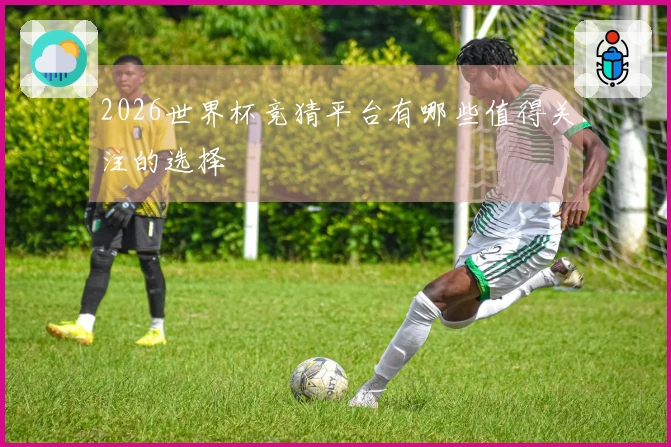 2026世界杯竞猜平台有哪些值得关注的选择