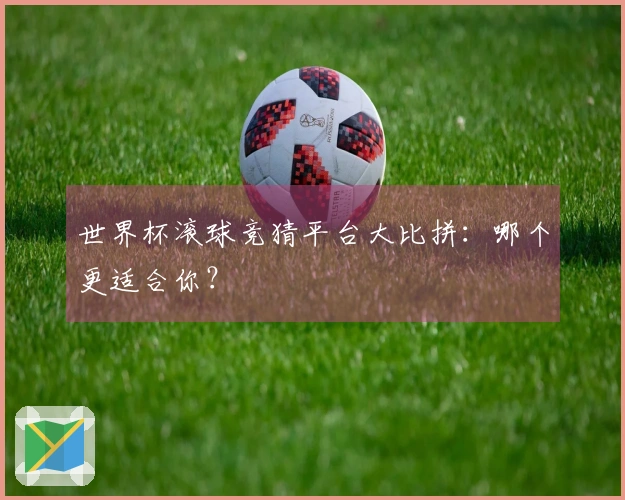 世界杯滚球竞猜平台大比拼：哪个更适合你？