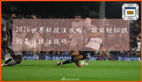2026世界杯投注攻略，助你轻松找到最佳投注技巧