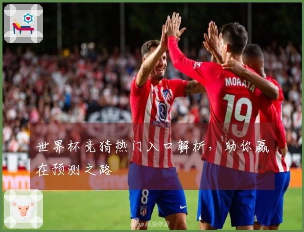 世界杯竞猜热门入口解析，助你赢在预测之路