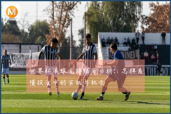 世界杯滚球竞猜赔率分析：怎样看懂投注中的玄机与机会